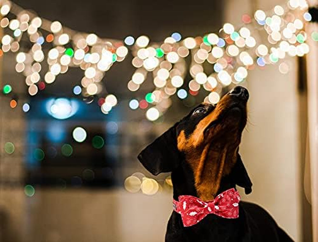 Christmas Dog Collars, Soft Bowtie Dog Collar, Puppy Collar Adjustable Heavy Duty Dog Collar with Bow for Medium Dogs