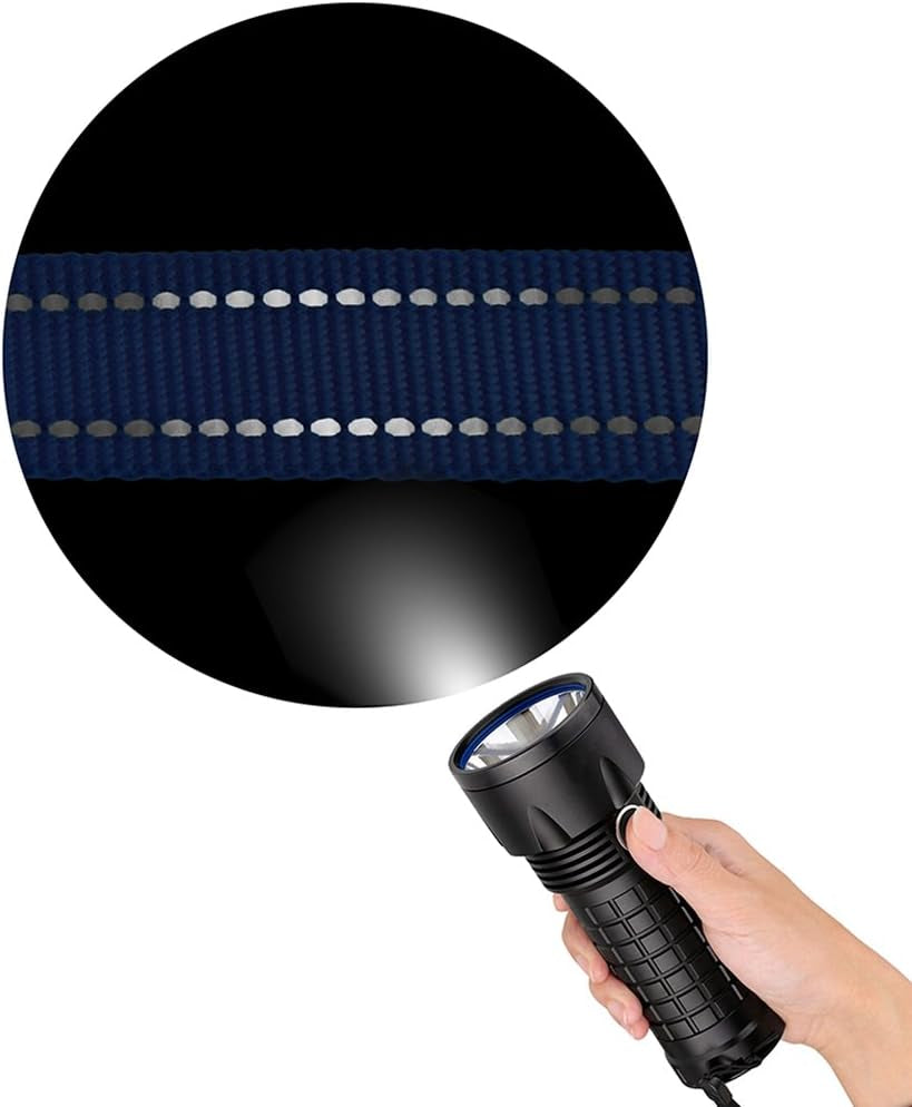 Nylon Dog Leash 5Ft for Daily Outdoor Walking Running Training Heavy Duty Reflective Pet Leashes for Large, Medium & Small Dogs (M, Purple)